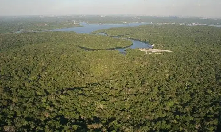 05 de setembro - Dia do Amazonas