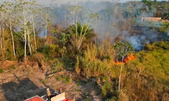 Amazonas decreta situação de emergência ambiental com alta de queimadas