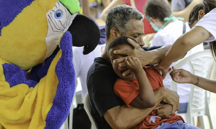 Animais 