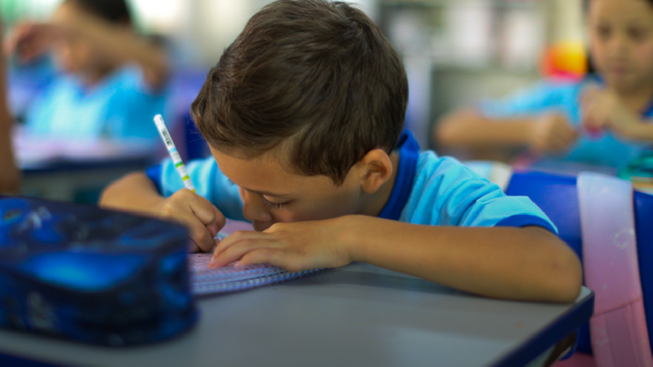 Apenas 16 municípios atingem meta nacional de alfabetização e acendem alerta no estado