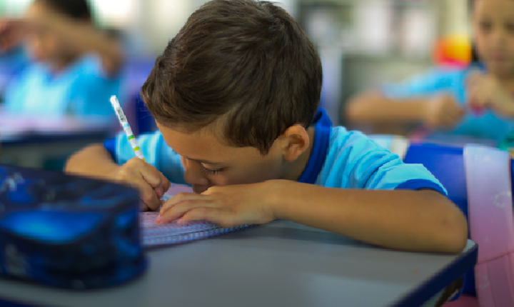 Apenas 16 municípios atingem meta nacional de alfabetização e acendem alerta no estado