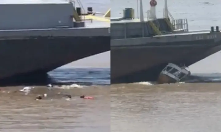 Balsa esmaga baleeira em frente ao município de Codajás e passageiros se salvaram pulando no rio (Assista ao vídeo)