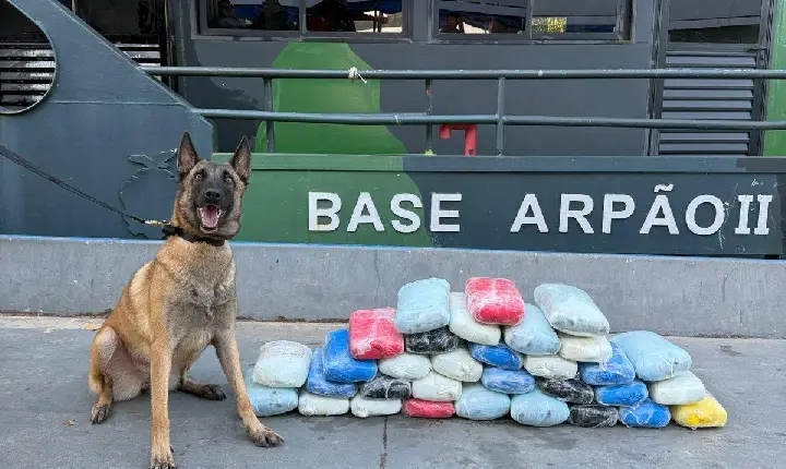 Base Arpão 2: Comandante de embarcação foi preso por transporte de drogas