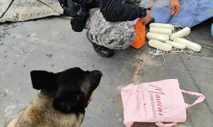 Base Arpão 2: PMAM apreende drogas durante fiscalização em ferry boat que viajava de Tabatinga para Manaus