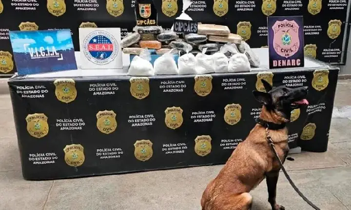 Cadela policial encontra 20 kg de drogas no Porto de Manaus