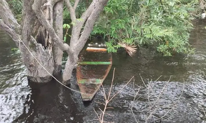 Casal de pescadores desaparece no AM e canoa é encontrada amarrada a árvore
