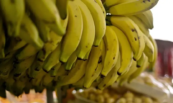 Conab: menor oferta eleva preços de hortaliças e frutas em setembro
