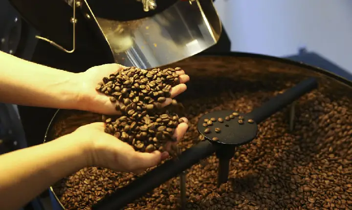 Consumo mundial de café atinge volume de 167,58 milhões de sacas
