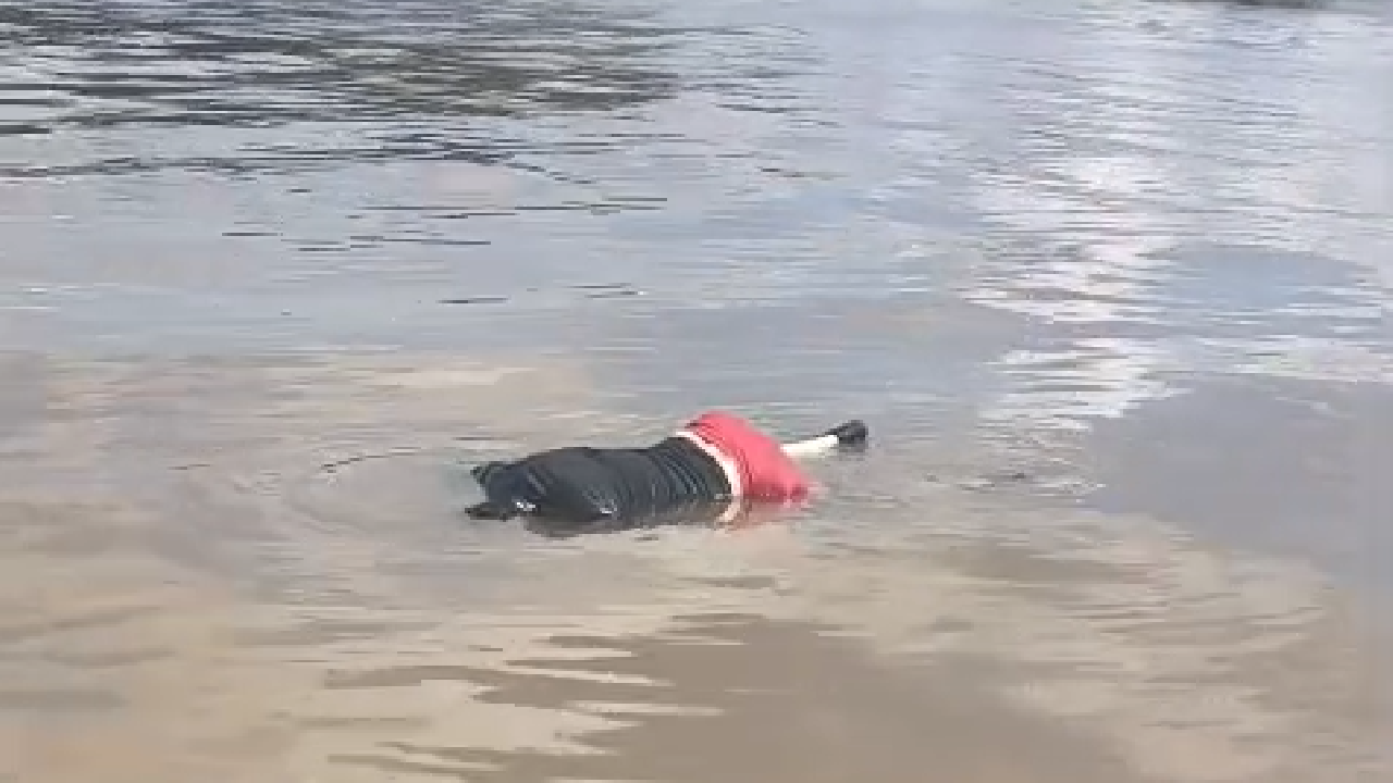 CORPO DE HOMEM É ENCONTRADO BOIANDO NO RIO SOLIMÕES COM MARCAS DE TIRO E OBJETOS AMARRADOS NAS PERNAS