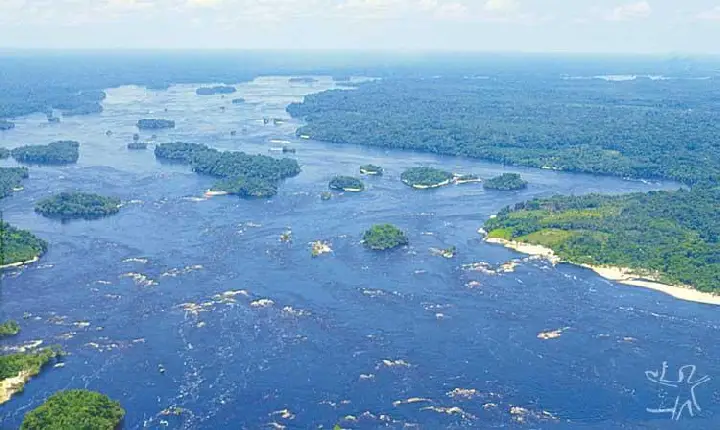 DPU cobra ação urgente do governo após relatos de homens armados em terras indígenas no Amazonas