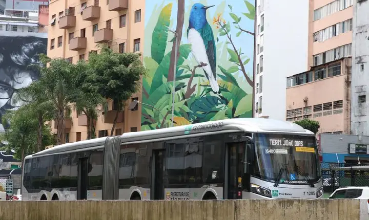 Estados também podem oferecer transporte gratuito no segundo turno