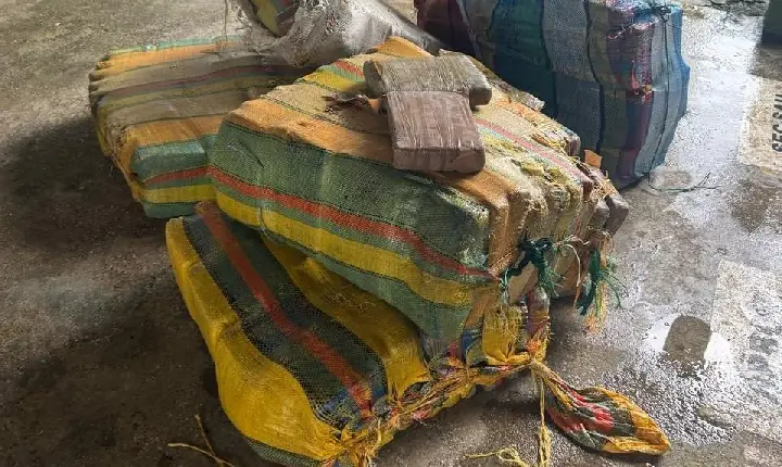 Exército apreende drogas e armamento na fronteira com a Colômbia