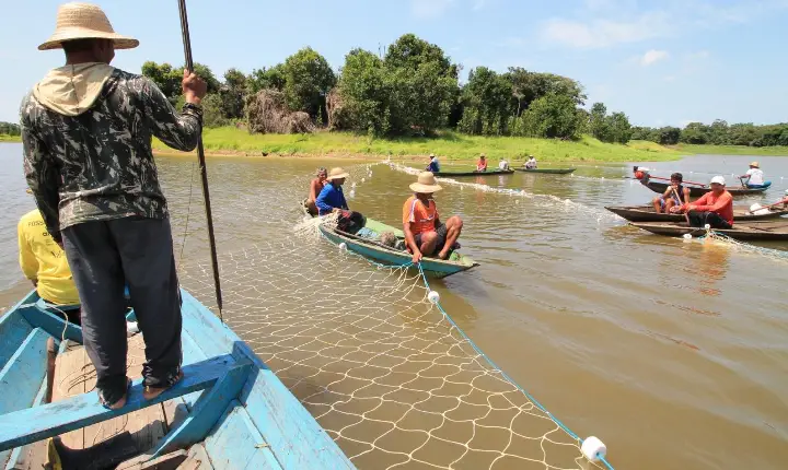 GOVERNO FEDERAL: 62 mil pescadores artesanais do Amazonas correm o risco de ficarem sem o Seguro Defeso por não enviarem o Reap no prazo