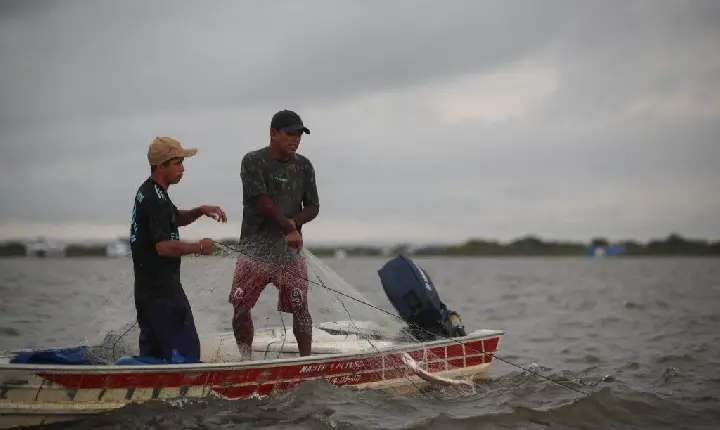 Idam alerta para o fim do período de defeso de oito espécies de peixes no Amazonas