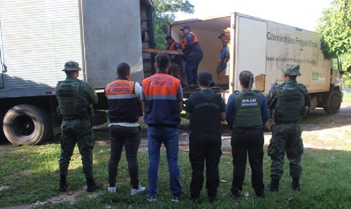 Ipaam abre cadastro para doação de bens apreendidos e amplia acesso a materiais de fiscalizações ambientais no Amazonas