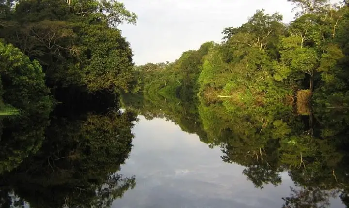 Jutaí: Planos de Manejo de mais três unidades de conservação federais na Amazônia são publicados