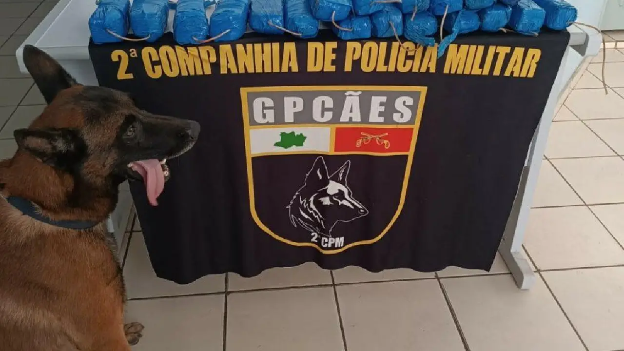Mais de 11 quilos de cocaína são apreendidos em embarcação durante operação em Tonantins