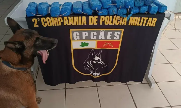 Mais de 11 quilos de cocaína são apreendidos em embarcação durante operação em Tonantins