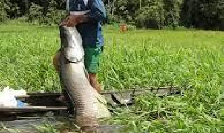 Maraã: Invasão de Lago quase acaba em tragédia
