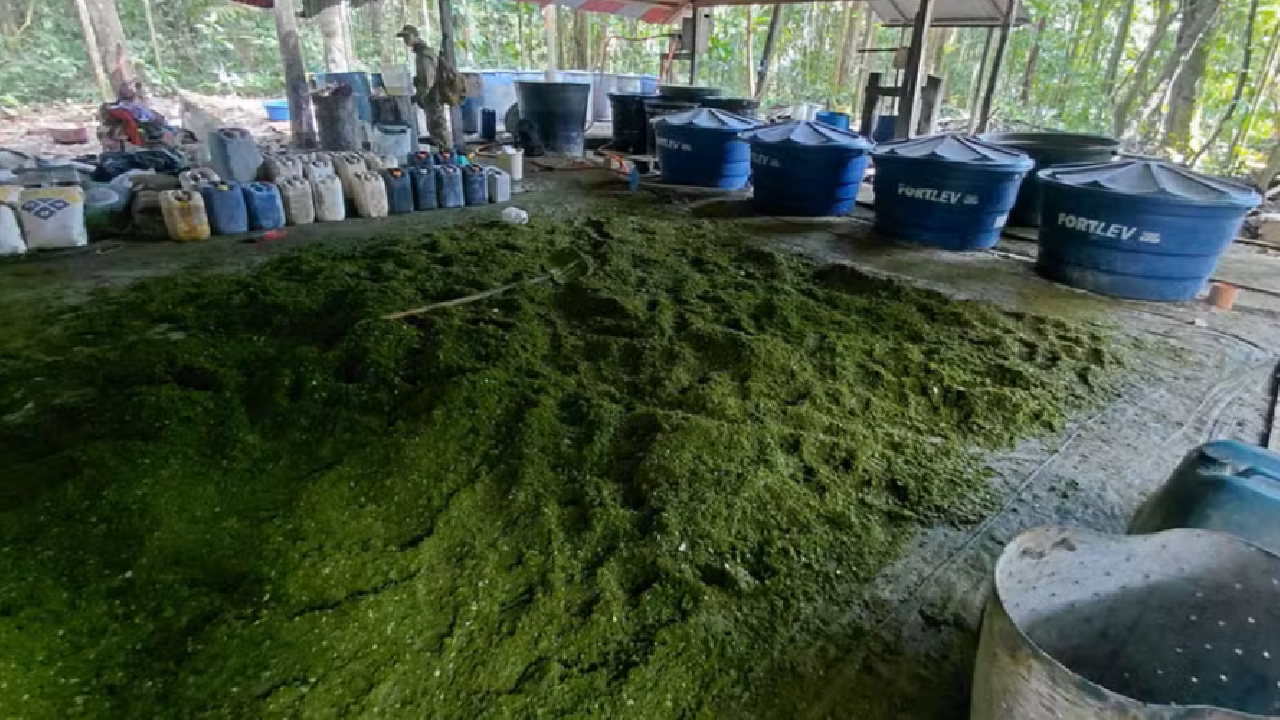 PF e polícia peruana destroem laboratórios e 6,2 toneladas de cocaína na fronteira com o Amazonas