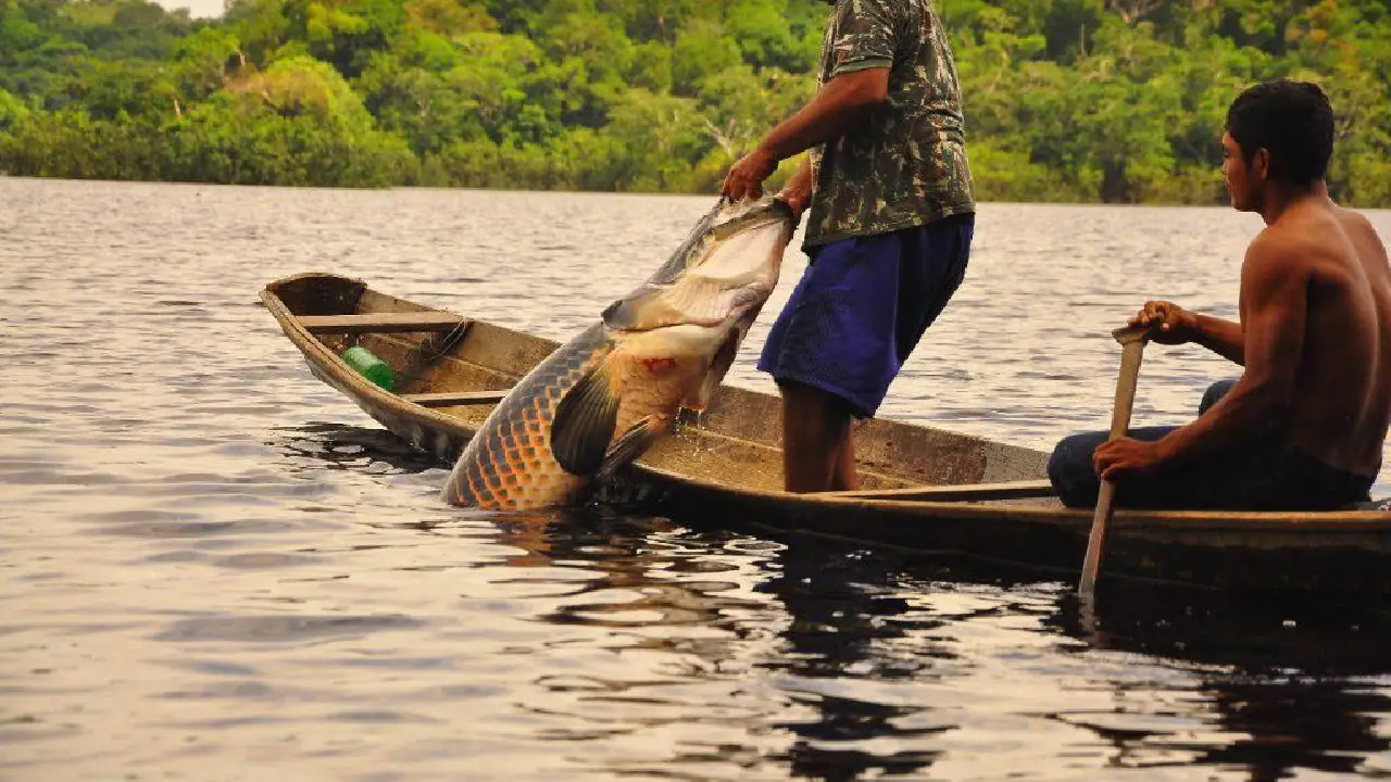 Prazo para entrevistas do Seguro-Defeso termina em 30 de junho e pescadores do Amazonas precisam ficar atentos