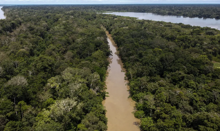 Previsão de cheia do Rio Amazonas em 2024 Indica normalidade, segundo Serviço Geológico do Brasil