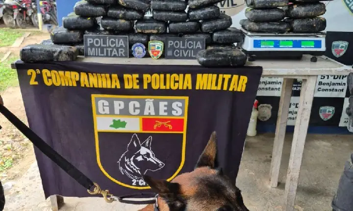 Quase 60 kg de drogas avaliadas em R$ 1,1 milhão são apreendidas em área de mata em Benjamin Constant