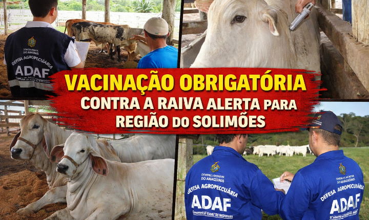 RAIVA CONFIRMADA E VACINAÇÃO OBRIGATÓRIA ACENDEM ALERTA EM TODA A REGIÃO DO SOLIMÕES