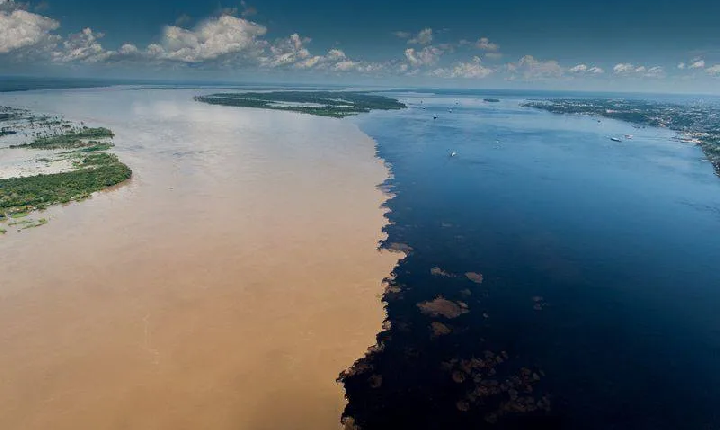 Rio Negro na contra mão do Solimões está enchendo a cima da média