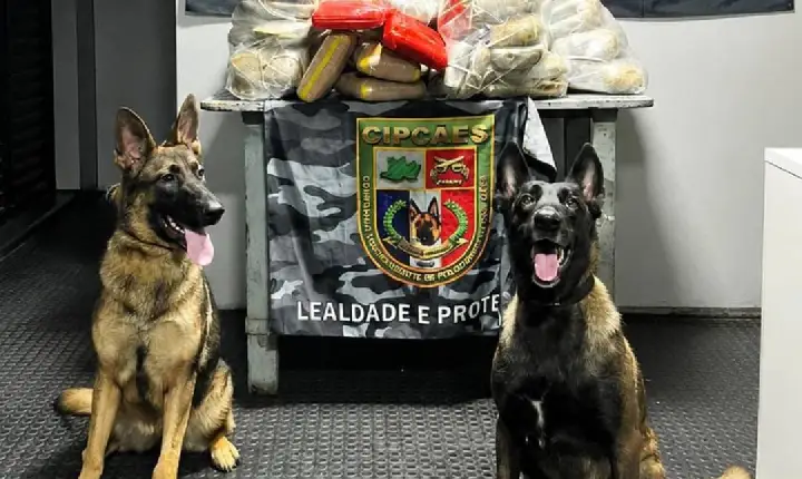 TRAFICANTES TENTAM LEVAR MAIS DE 90 KG DE DROGAS PELO RIO SOLIMÕES, MAS CÃES DA PM DESCOBREM CARGA MILIONÁRIA NA BASE ARPÃO 2