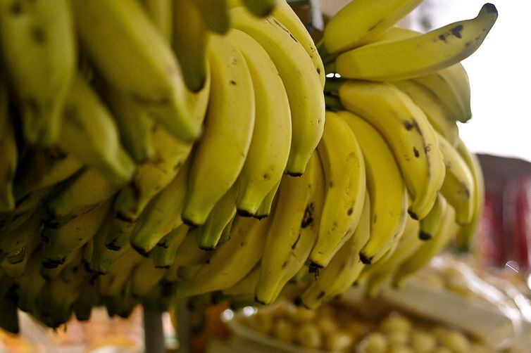 Conab: menor oferta eleva preços de hortaliças e frutas em setembro