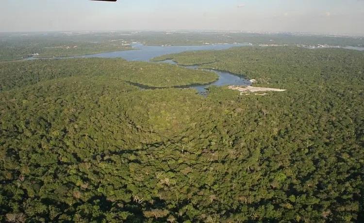 05 de setembro - Dia do Amazonas