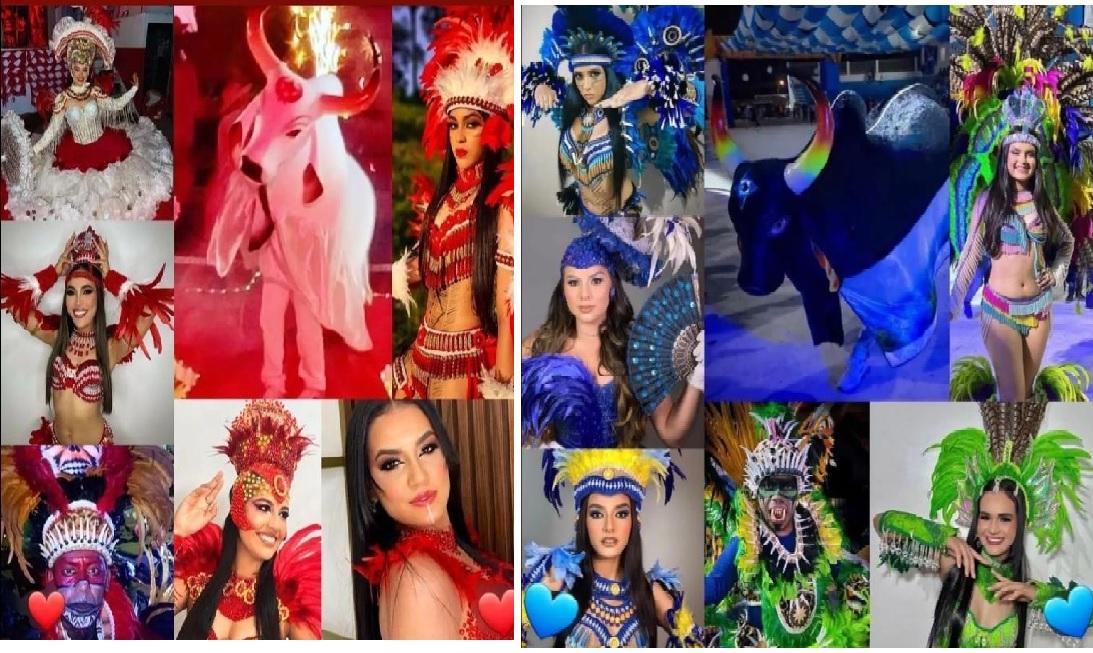 A partir da 21h, última noite de apresentação dos Bumbas de Fonte Boa