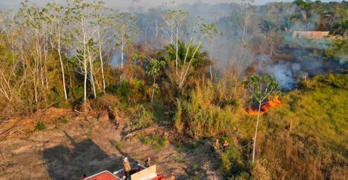 Amazonas decreta situação de emergência ambiental com alta de queimadas