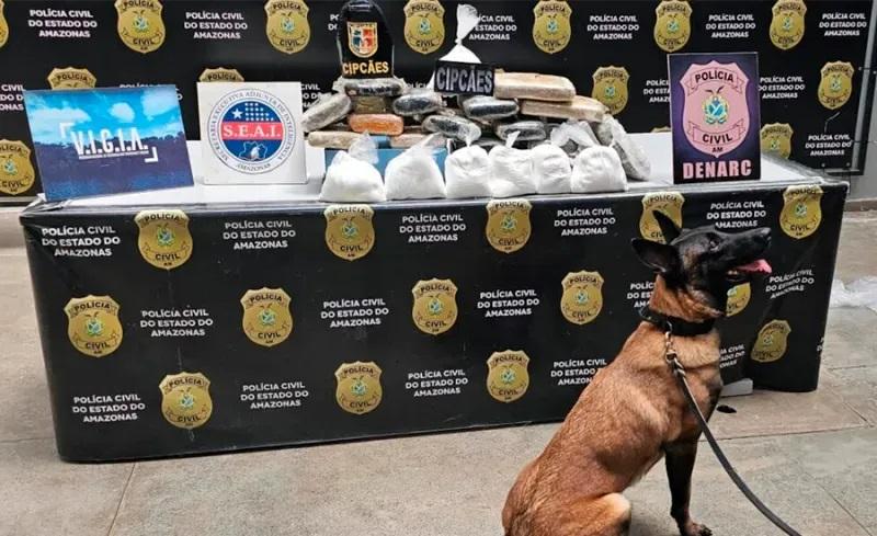 Cadela policial encontra 20 kg de drogas no Porto de Manaus