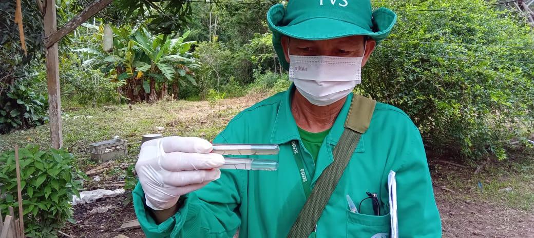 Amazonas registra mais de 1,9 mil casos de dengue nos primeiros meses de 2024, aponta FVS