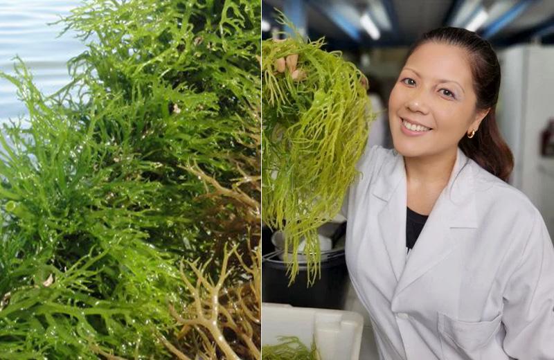 Sexóloga de Manaus cria Spray melhor que o famoso azulzinho!