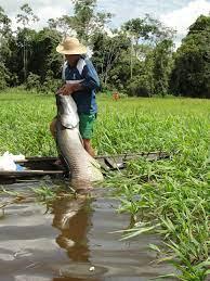 Maraã: Invasão de Lago quase acaba em tragédia