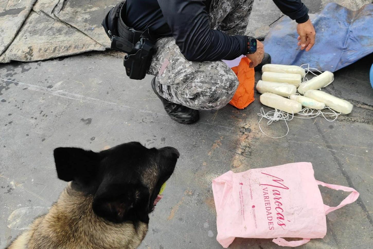 Base Arpão 2: PMAM apreende drogas durante fiscalização em ferry boat que viajava de Tabatinga para Manaus