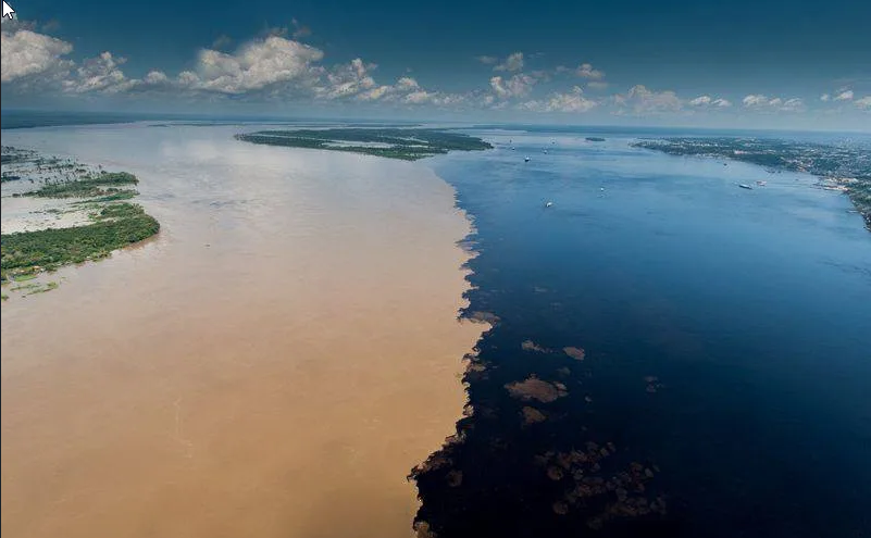 Rio Negro na contra mão do Solimões está enchendo a cima da média