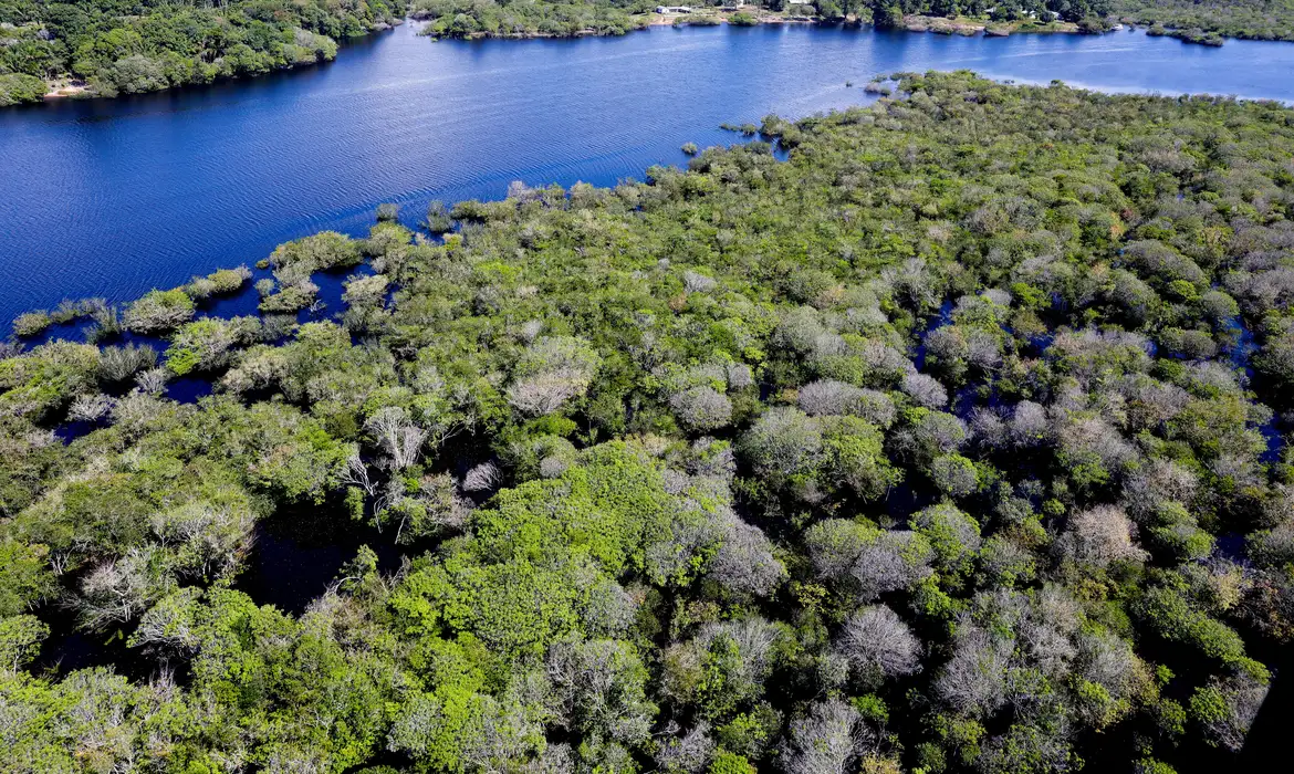 Aberta as inscrições para o combate ao desmatamento na Amazônia
