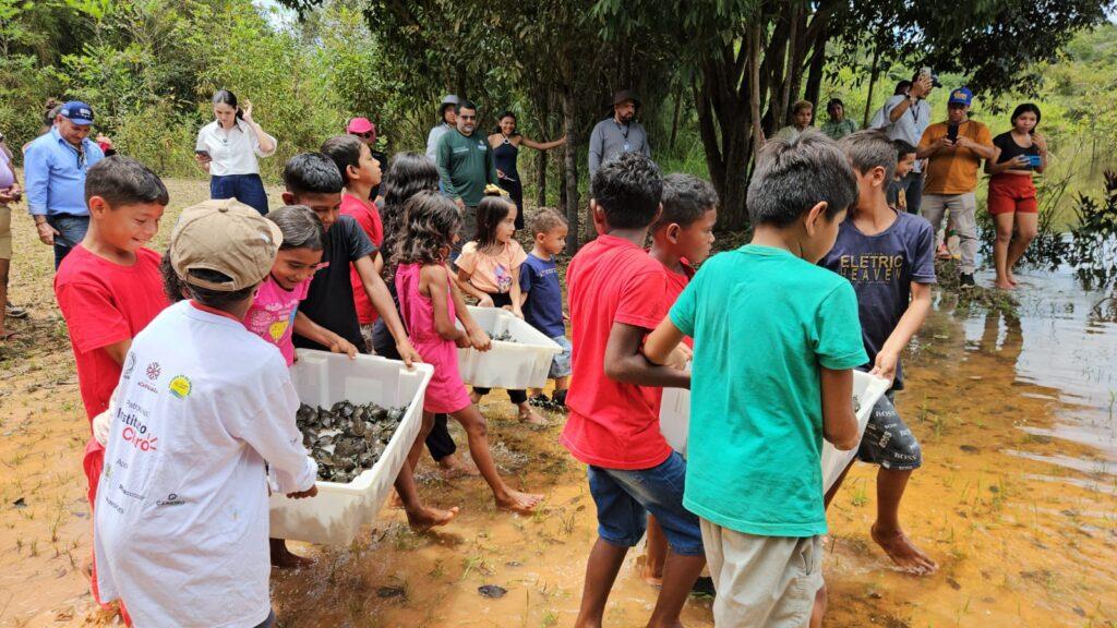 Comunidades do Amazonas realizam soltura histórica de mais de 5 mil tracajás