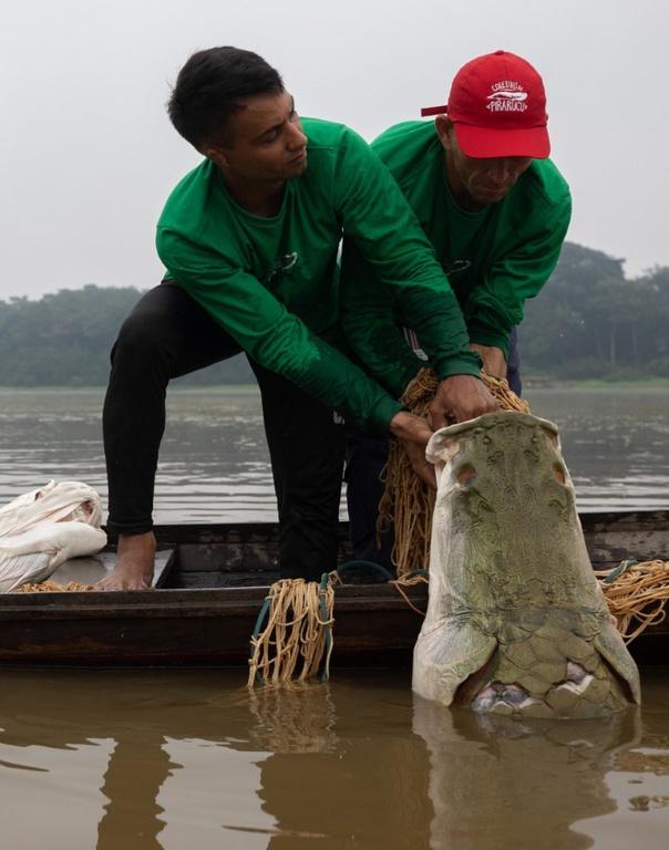 Ibama entrega cartilhas sobre 26 anos do manejo sustentável do pirarucu a comunidades do Amazonas