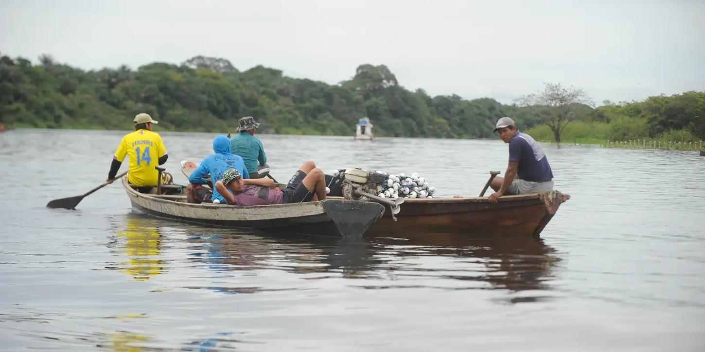 Impacto: Milhares de licenças de pesca são canceladas e acendem alerta aos pescadores do Amazonas e principalmente do Solimões