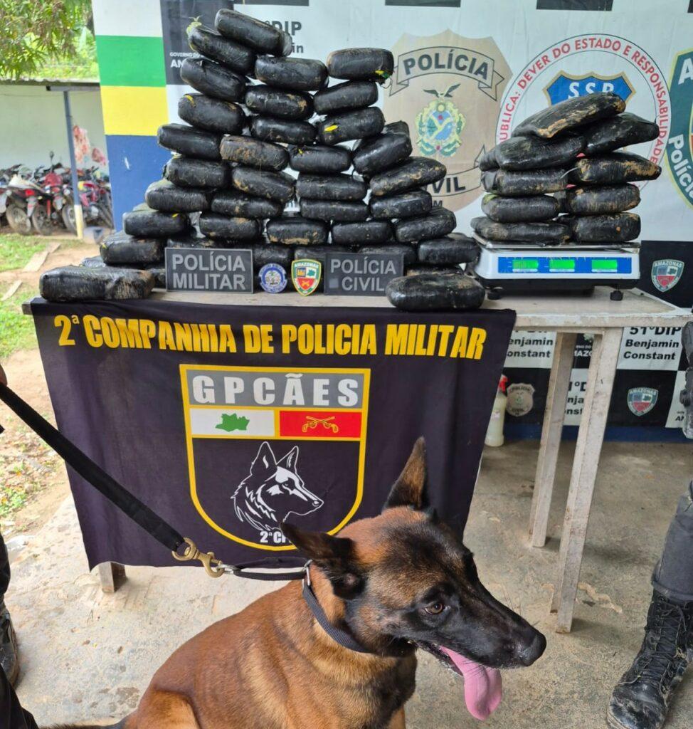 Quase 60 kg de drogas avaliadas em R$ 1,1 milhão são apreendidas em área de mata em Benjamin Constant