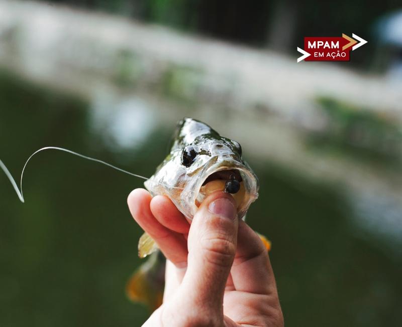 CRIME AMBIENTAL AVANÇA E AMEAÇA SOBREVIVÊNCIA DE RIBEIRINHOS E INDÍGENAS