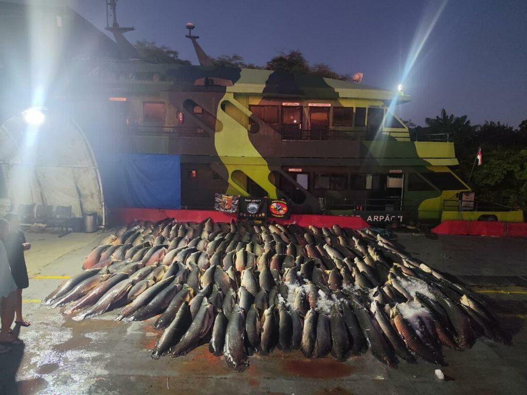MEGA APREENSÃO: Base Arpão 2 intercepta 26 toneladas de pescado ilegal em Coari; pirarucu estava escondido no meio de carga de jaraqui