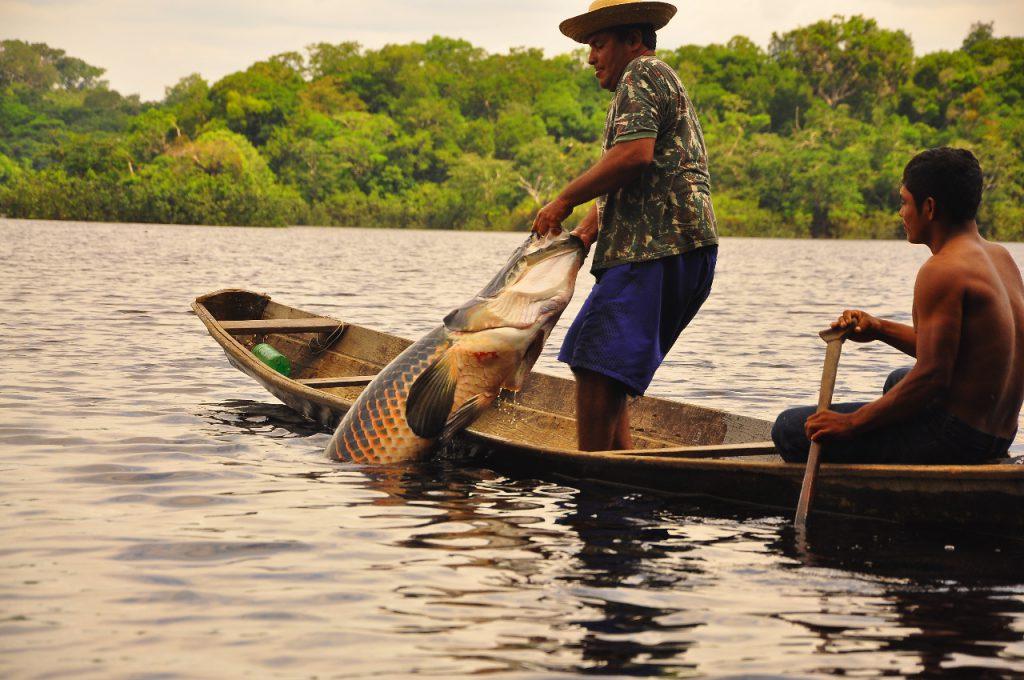 Prazo para entrevistas do Seguro-Defeso termina em 30 de junho e pescadores do Amazonas precisam ficar atentos