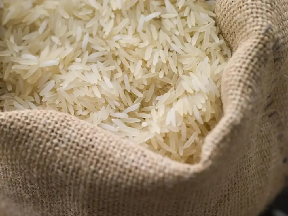 Brasil enviará 10 toneladas de arroz à Colômbia após terremoto deixar quase 300 mortos