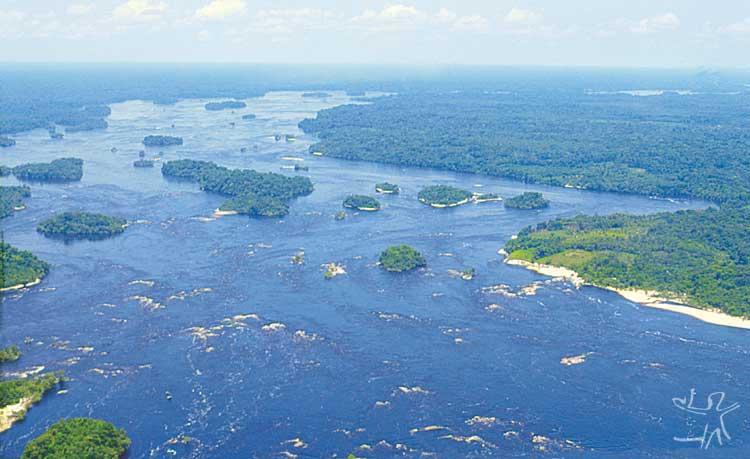 DPU cobra ação urgente do governo após relatos de homens armados em terras indígenas no Amazonas